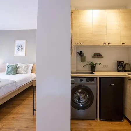 Charming Loft Old Town Center *